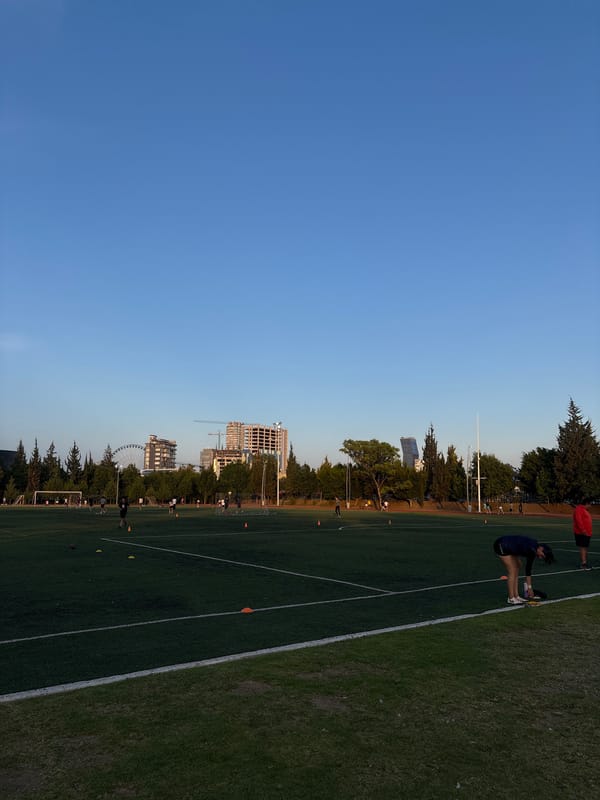 Geese visit athletic field at Puebla sports complex