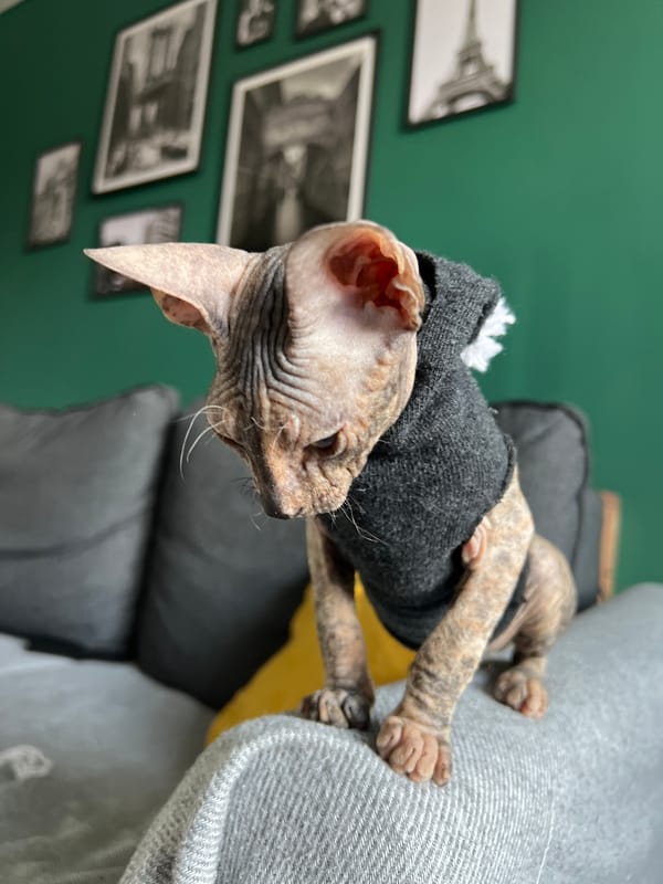 Ordinary Tuesday morning moments captured across Kazan, Russia