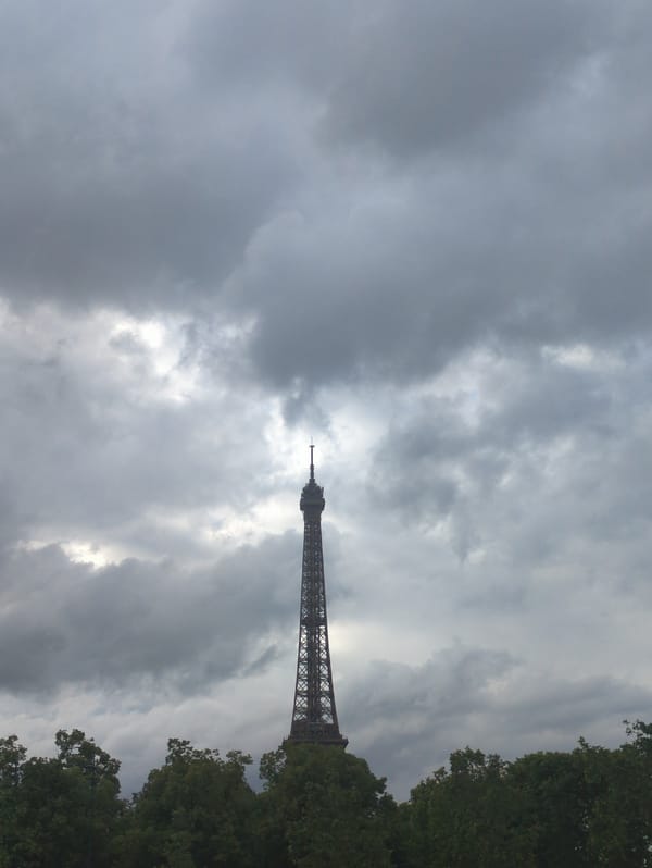 Eiffel Tower observed under cloudy Paris skies