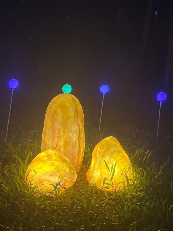 Art installations and replica Eiffel Tower documented in Nanshan District