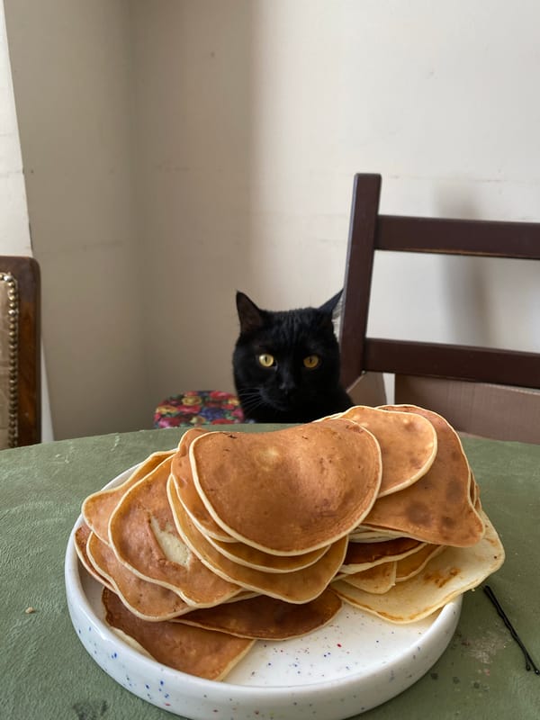 Black cat eyes pancakes from under chair in Moscow