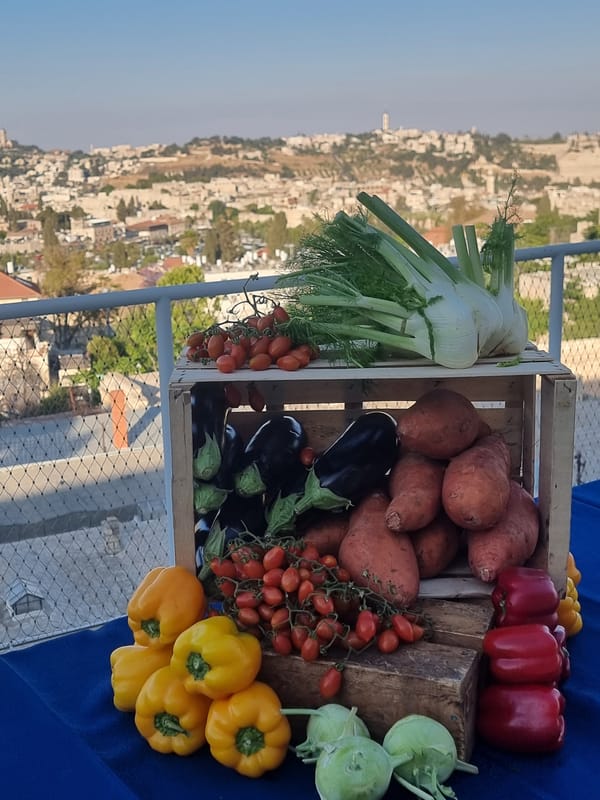 Jerusalem residents document daily life moments across city