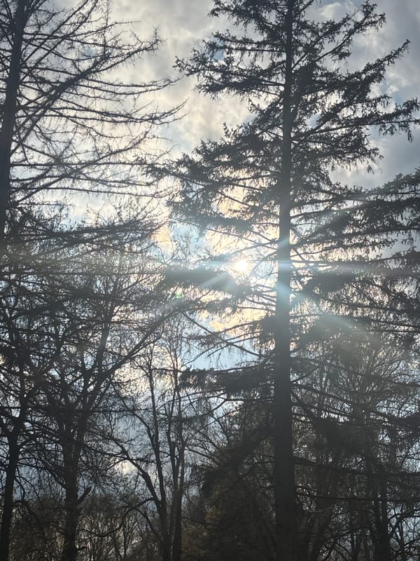 Young man photographs rural Bulgarian village during afternoon walk