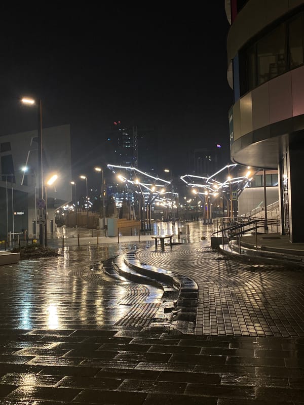 Wet night street scene with decorative lights in Yekaterinburg