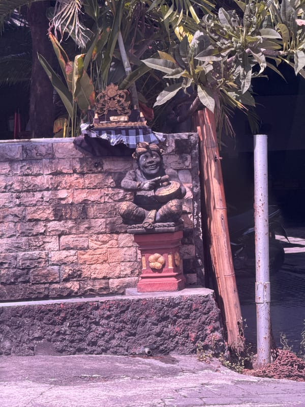 Traditional Balinese stone carvings documented in Denpasar