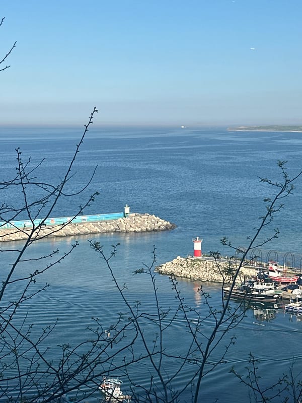 Tourist captures harbor views during Arnavutköy waterfront visit
