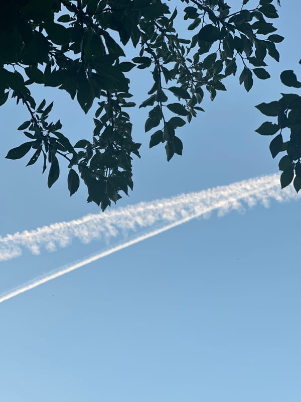 Contrail over Rasskazovo, then a big bonfire after dark