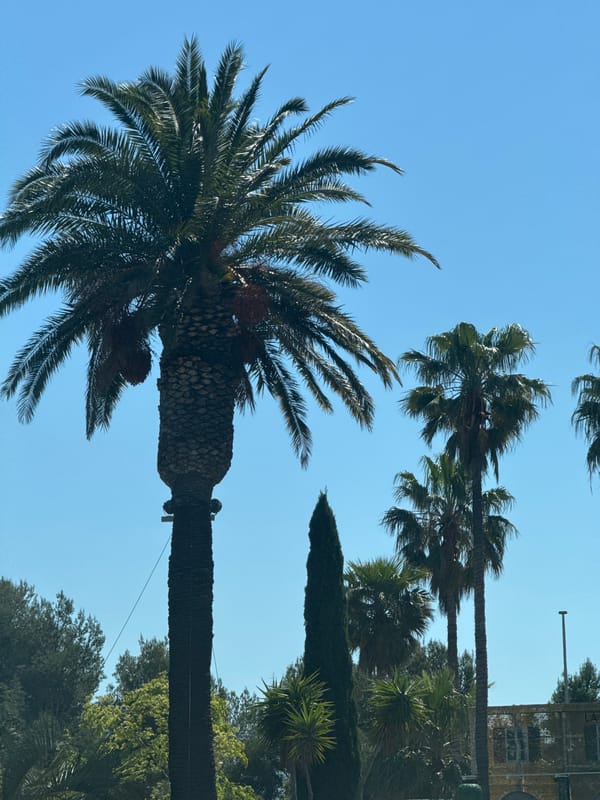 Clear sunny day observed in La Ciotat, France