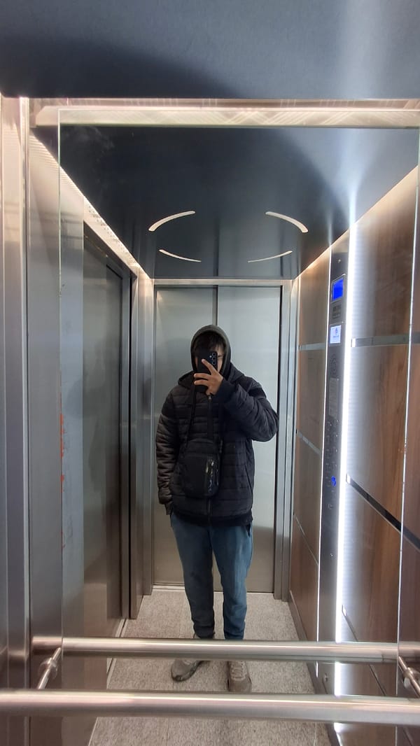 Person photographs self in elevator door reflection
