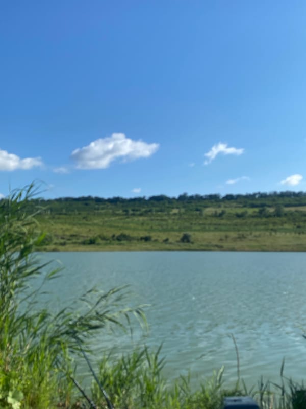 Calm lakeside scenery in rural Moldova on a summer morning