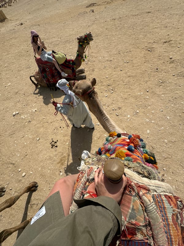 Tourist documents camel ride experience near Giza pyramids
