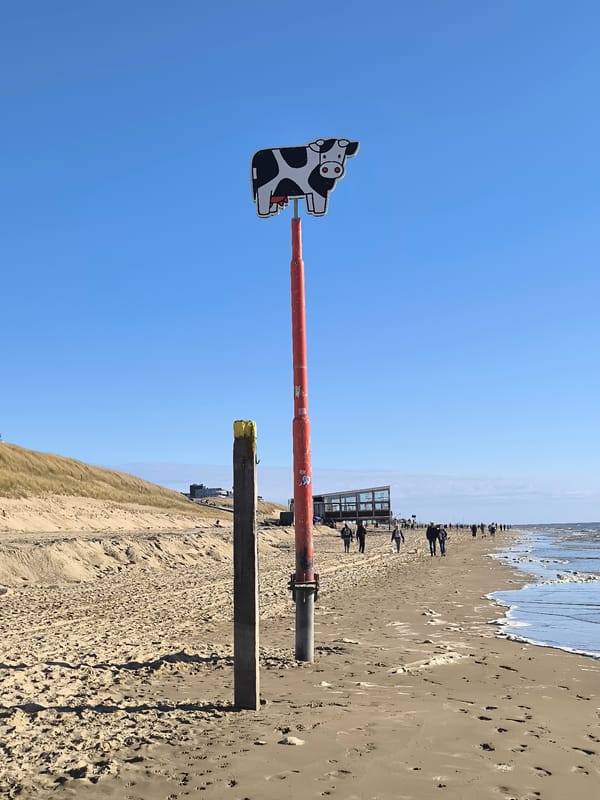 Cartoon cow pole spotted on Bergen beach