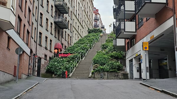 Wide outdoor staircase climbs a hillside in Gothenburg