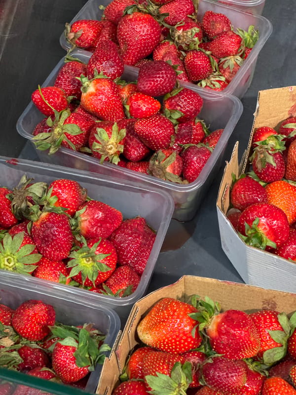 Evening scenes in Podgorica: strawberry display and RTOG event