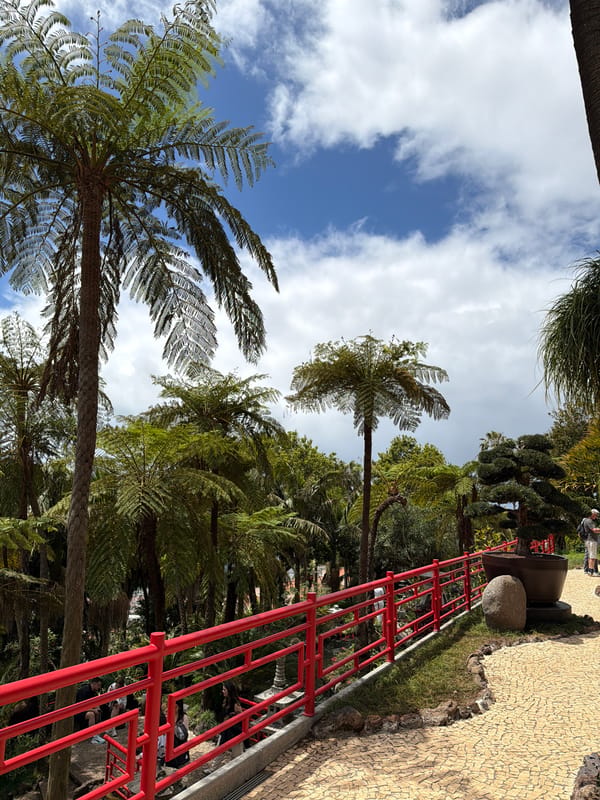 Tourists visit Monte Palace Tropical Garden in Funchal