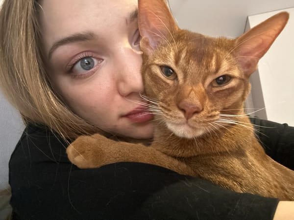 Woman enjoys quiet afternoon with orange cat in Kazan