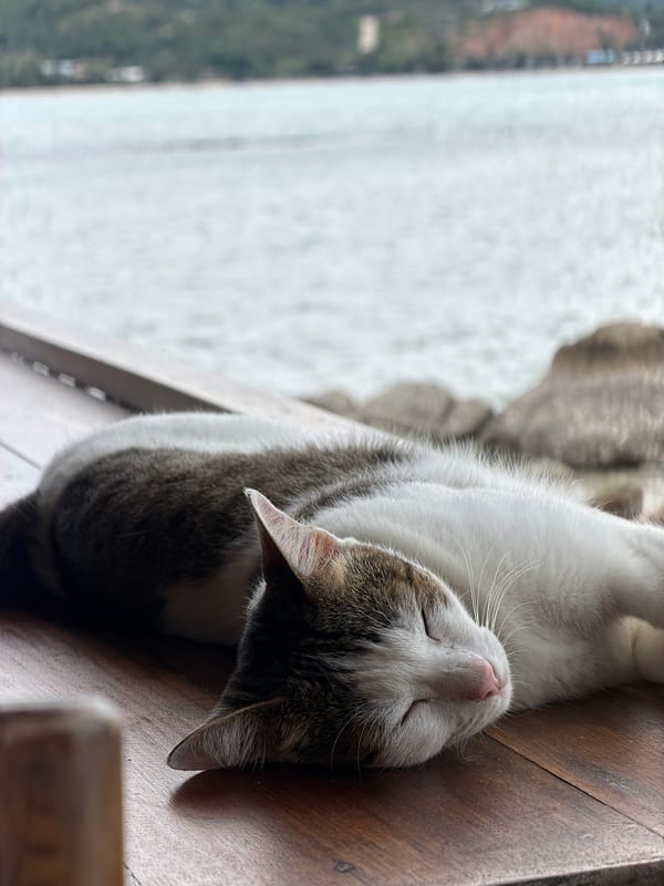 Sleeping cat and weathered shrine statue in Ko Samui