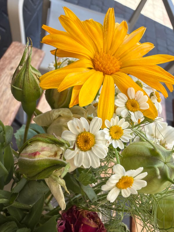 Flower arrangements and quiet outdoor scenes from one morning