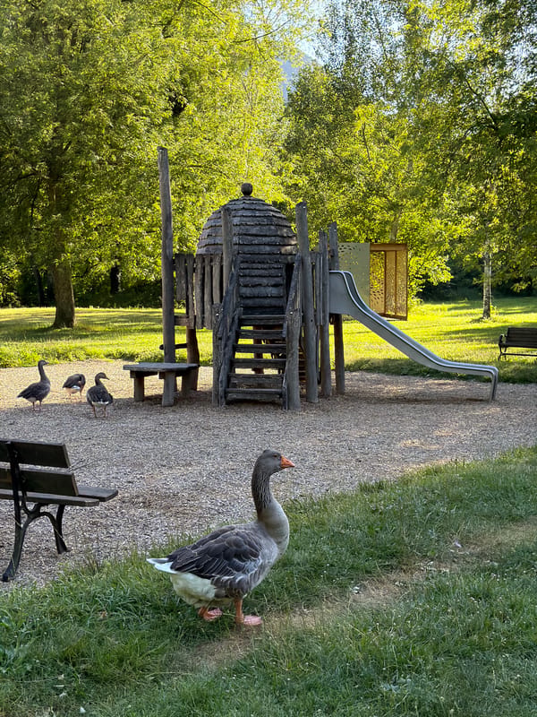 Geese, fish, and a playground at a Vizille park