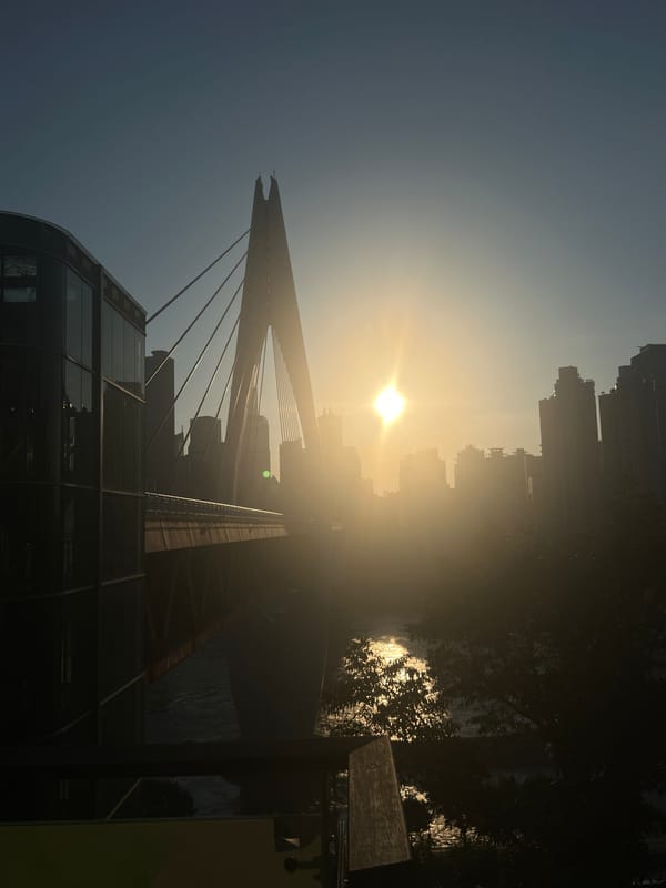 Chongqing's Yangtze bridges glow at sunrise, Nan'an District