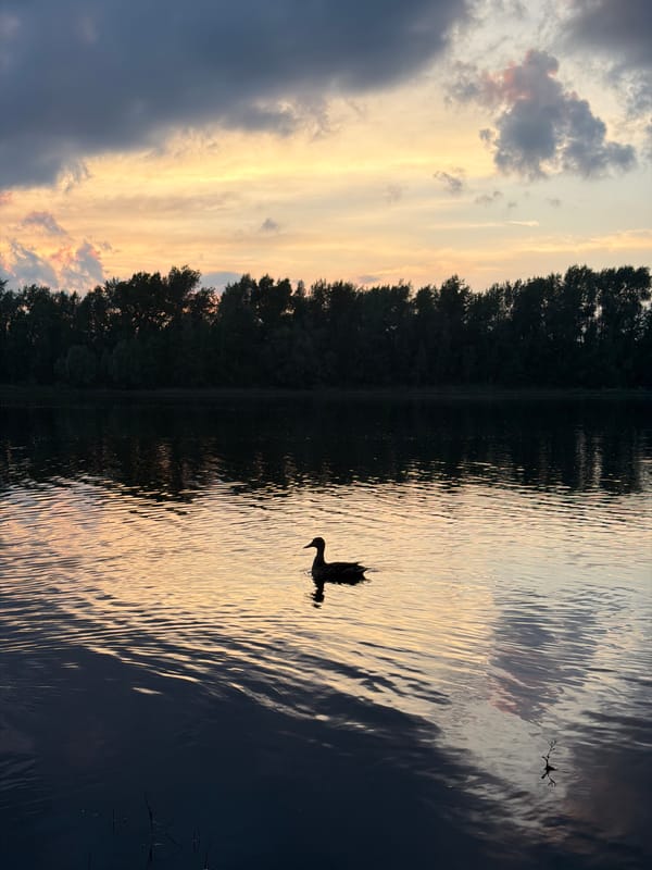 Sunset evening at the Kama River, Chaikovsky