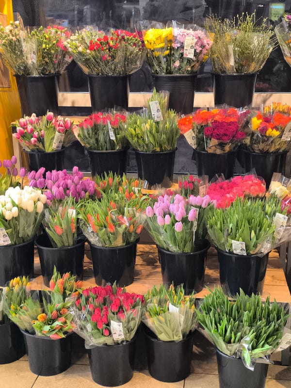 Spring afternoon scenes captured in Alkmaar: flowers and cycling