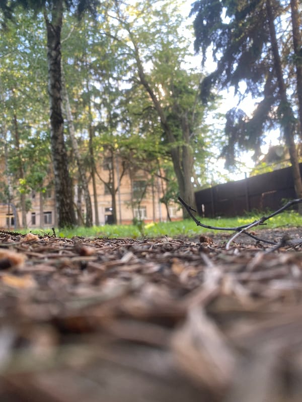 Afternoon park walk documented in Poltava, Ukraine