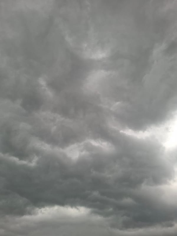 Storm clouds gather over rural Khlevnoye as cat roams field