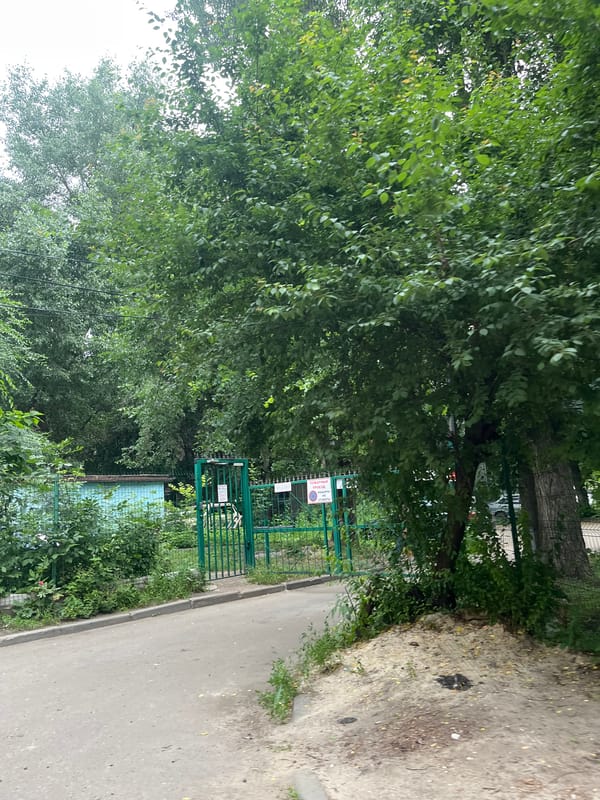 Green gate and fence in a leafy Aleksandrovka yard