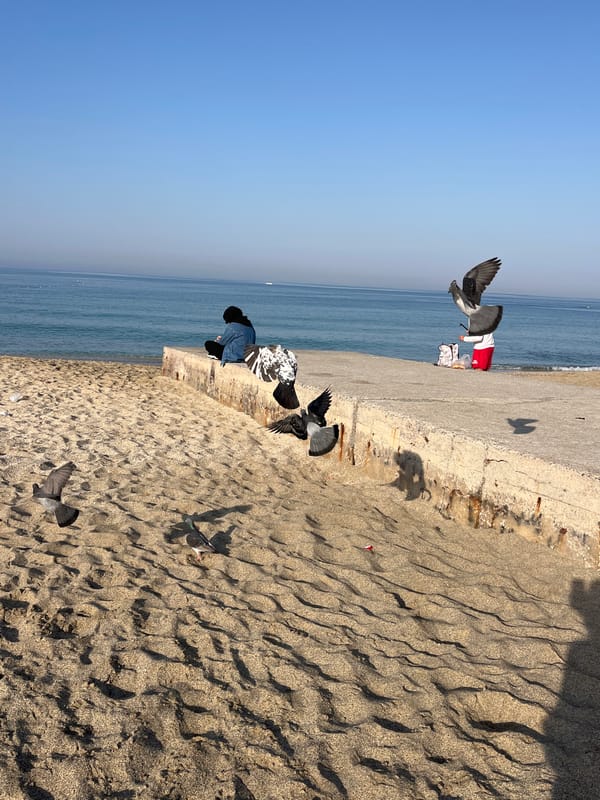 Early morning beach scenes captured in Alanya, Turkey