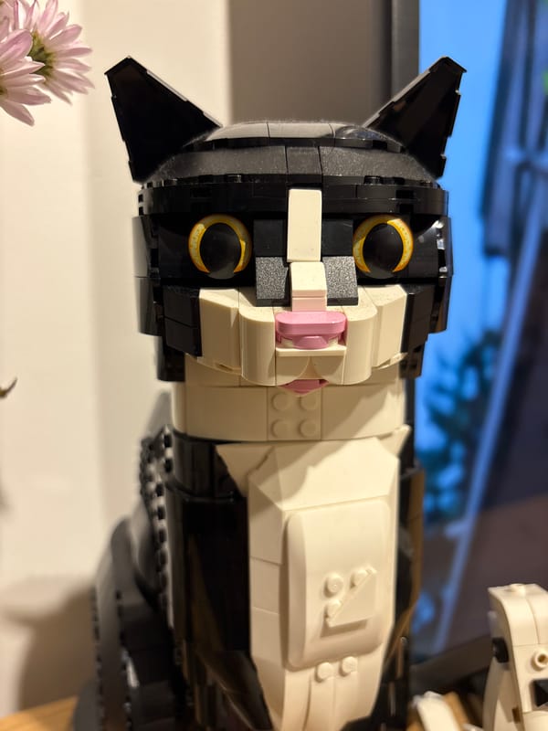 Detailed Lego tuxedo cat model photographed in Buenos Aires