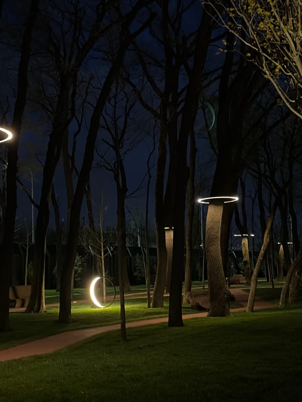 Evening park visit documented by young woman in Krasnodar