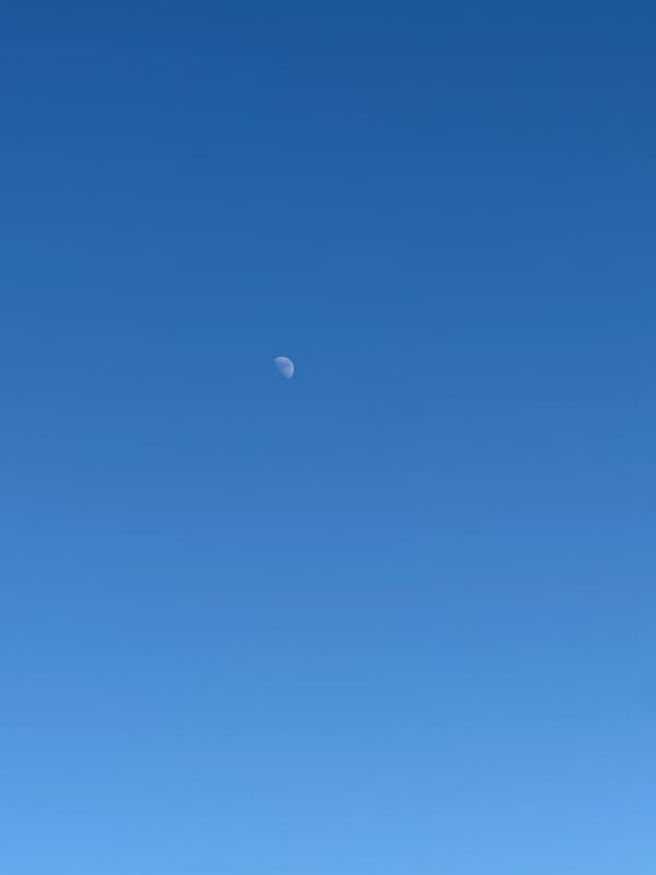Midsummer day at a rural Tobyl homestead, moon out and garden growing