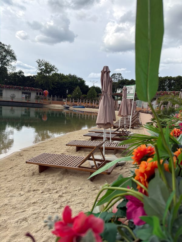 Moscow summer displays captured across city locations