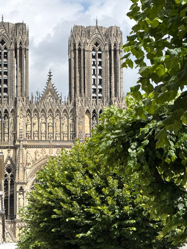 Tourist captures summer visit to Reims Cathedral, France
