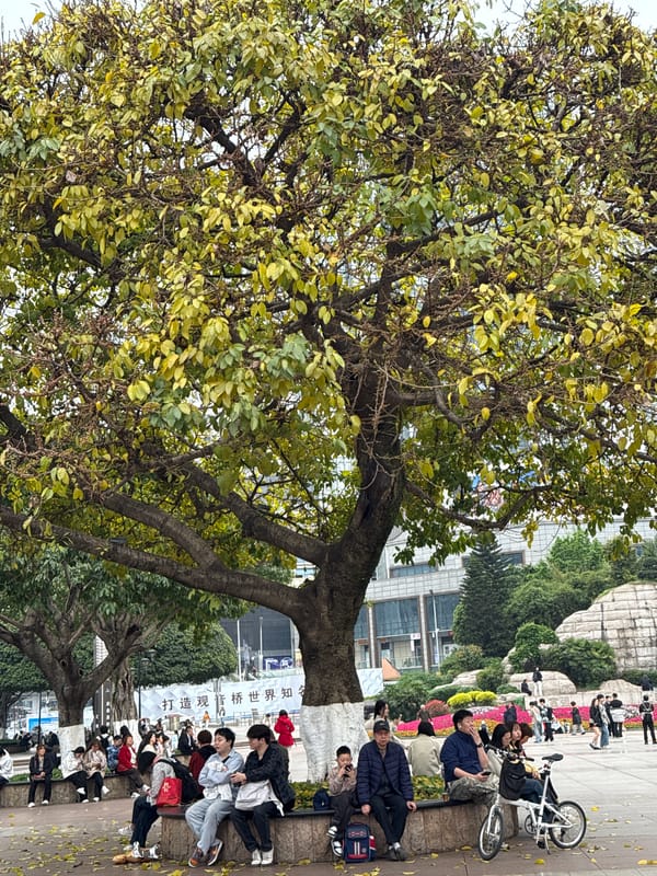 Morning street life and social gatherings in Liangjiang