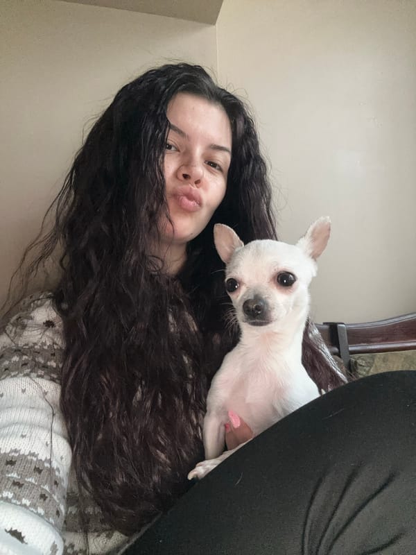 Woman takes selfies with Chihuahua and cat at home