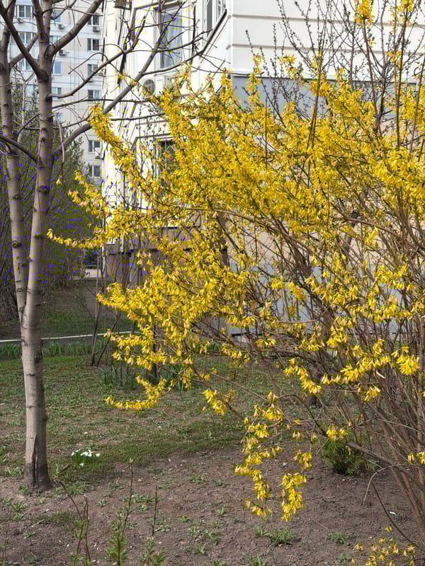 Routine daily scenes captured across Khimki residential and commercial areas