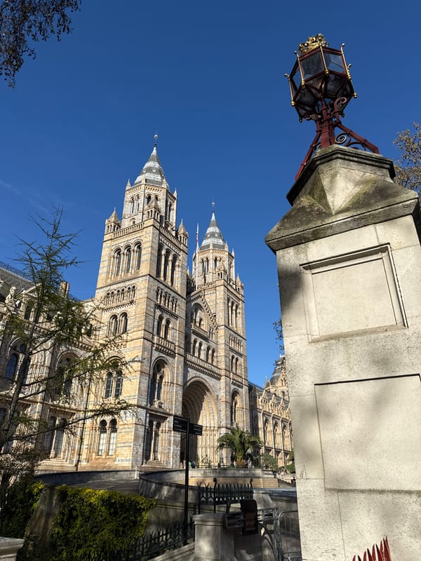 Tourist captures London landmarks during afternoon walking tour