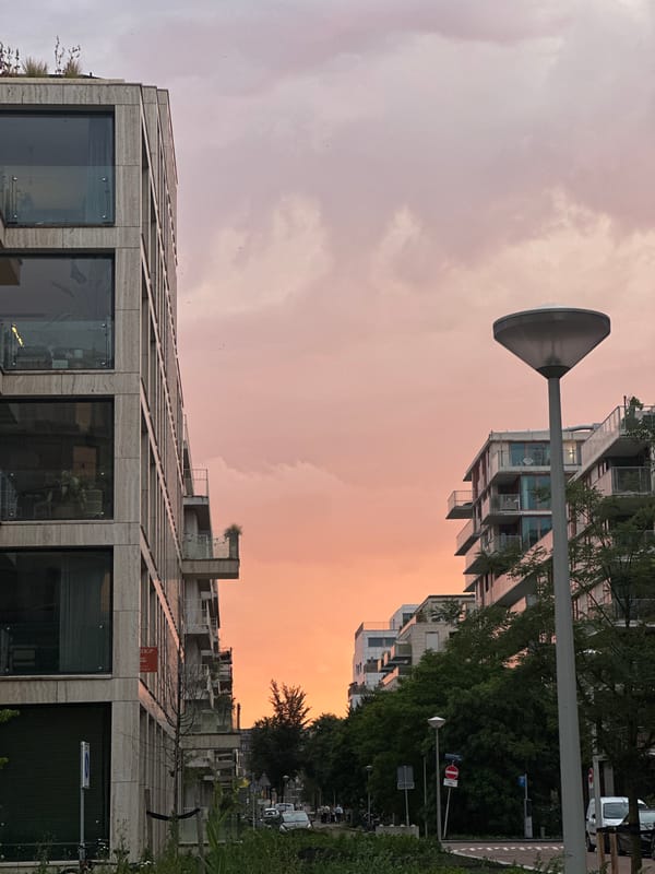 Amsterdam residential streets at dusk, modern architecture under a pink sky