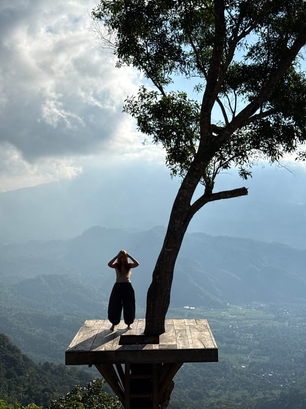 Treetop platform perch over a steep drop in Abang, Indonesia