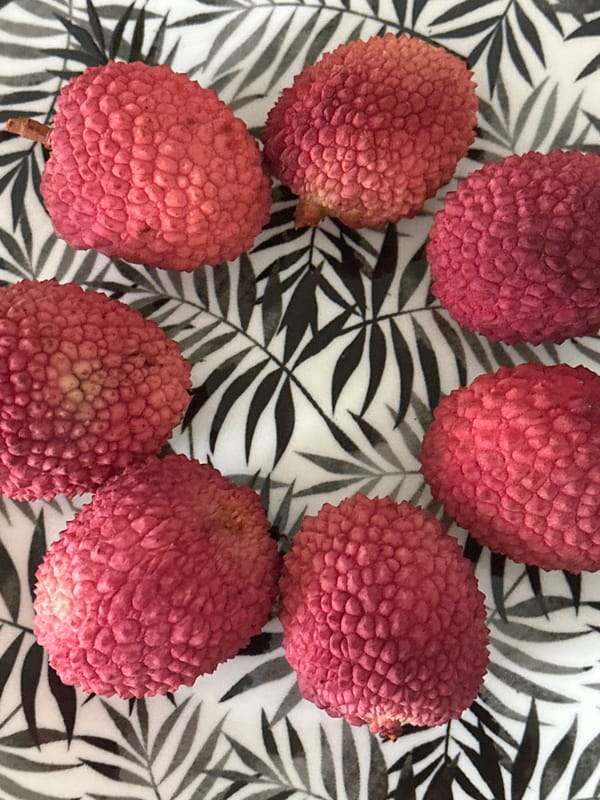 Lychee styling and snacking at home in Petah Tikva