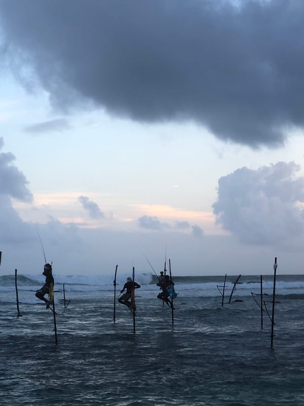 Traditional stilt fishing practiced in Kathaluwa waters