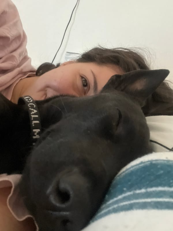 Morning dog walks and neighborhood scenes documented in Belgrade