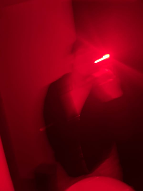 Quiet morning moments captured in Mexico City home