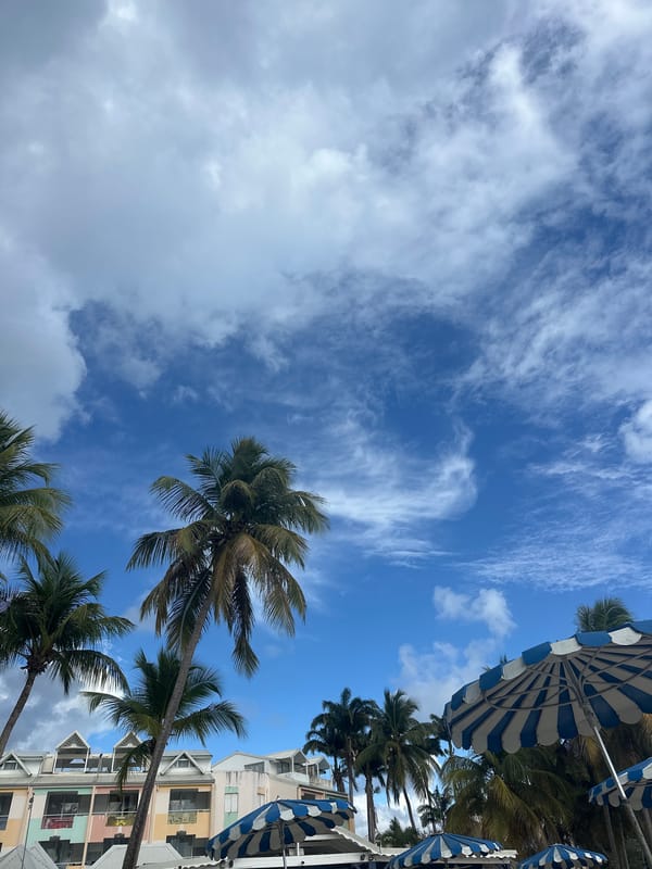 Tropical beach scenes documented in Le Gosier, France
