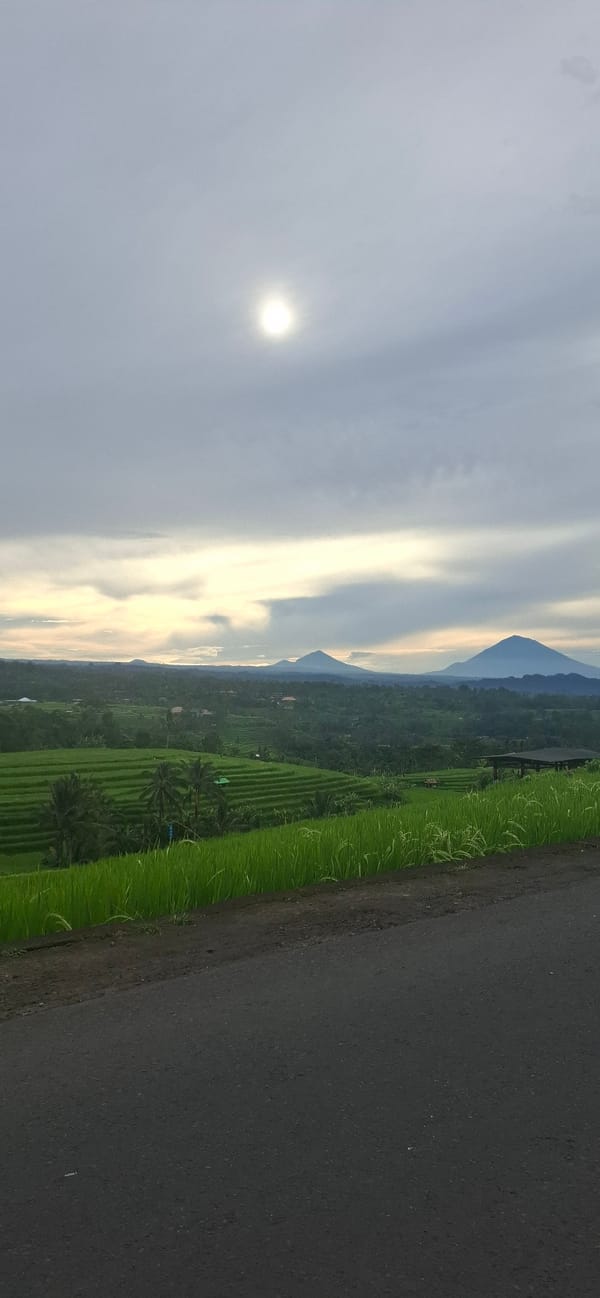 Rural landscapes documented in Penebel, Indonesia