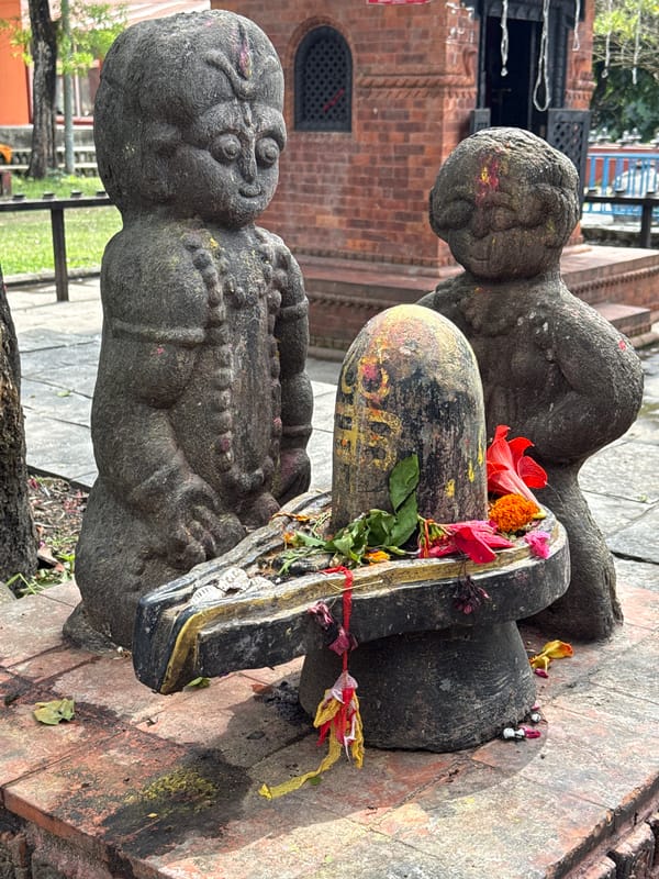 Morning pastoral life documented across Pokhara, Nepal