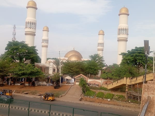 Witness documents mosque, street life, flora in African city