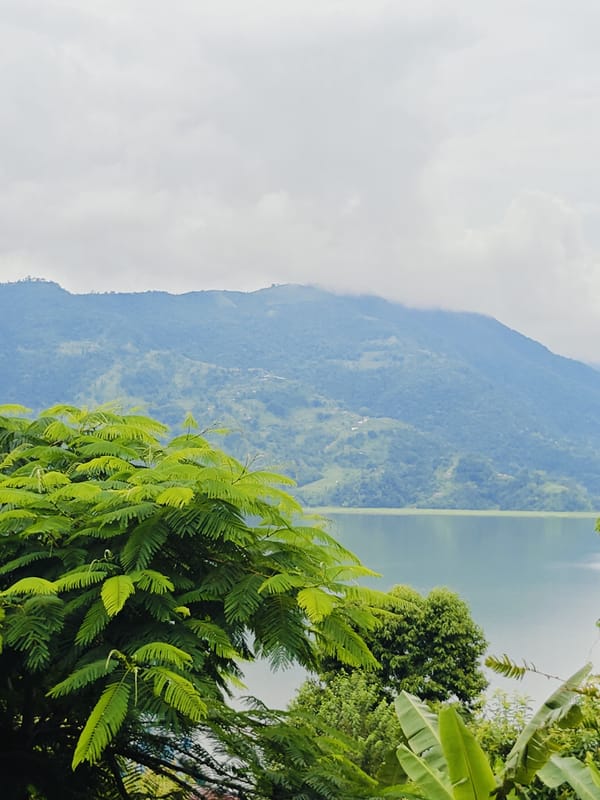 Pokhara from multiple angles: foliage, lake, and mountain backdrop